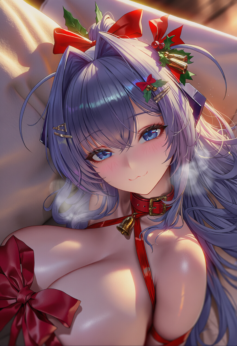 白鹰圣诞节-pixiv插画-作品交流服务