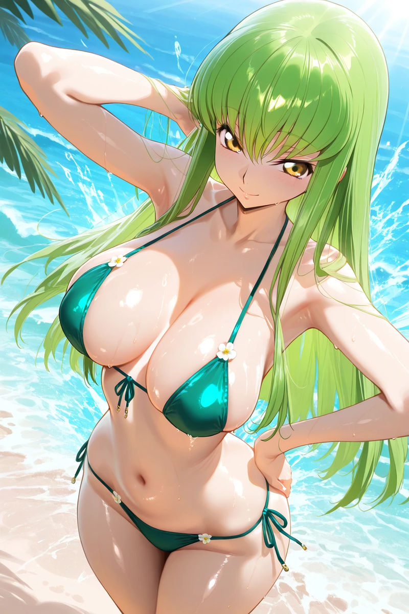 C.C. 48-pixiv插画-作品交流服务